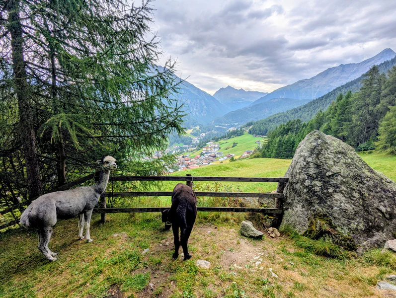 Honba za pokladem Sölden — fotka 1