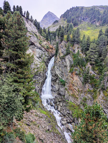 Honba za pokladem Zirbenwald Obergurgl — fotka 2