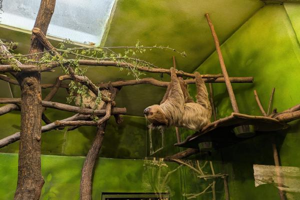 Zoo Ústí nad Labem