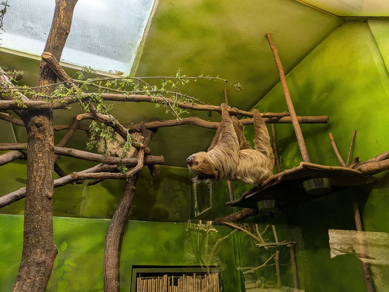 Zoo Ústí nad Labem — fotka 1
