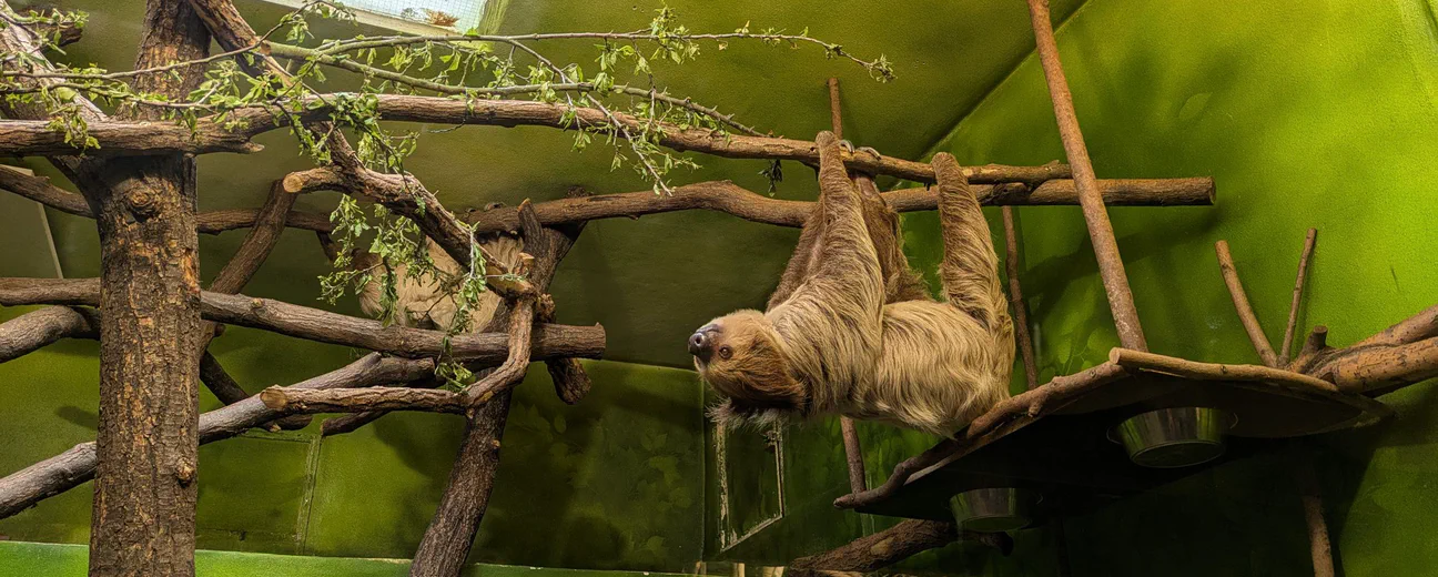 Zoo Ústí nad Labem