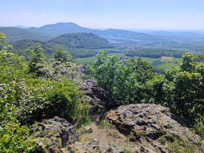 Panna a Kalich