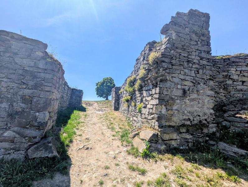 Panna a Kalich