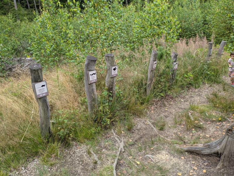 Rysí naučná stezka