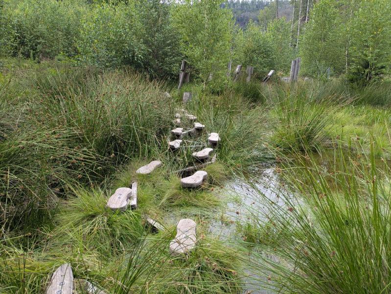 Rysí naučná stezka