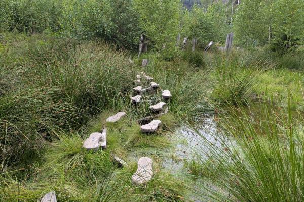 Rysí naučná stezka