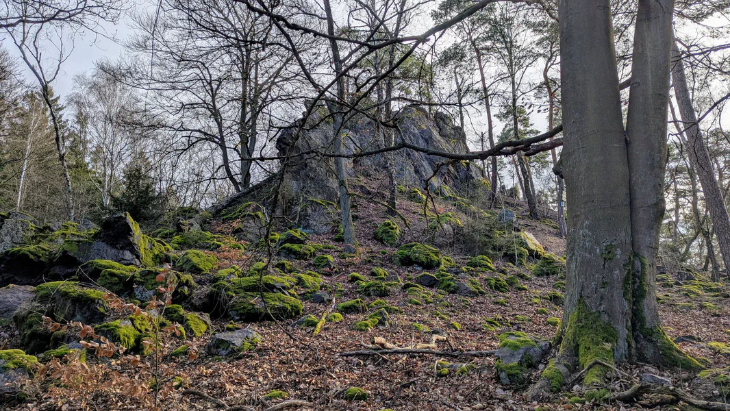 Světovina — fotka 5