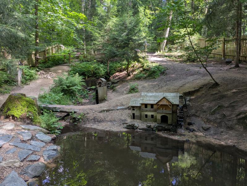 Vyhlídky kolem České Kamenice