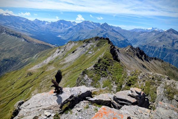 Bad Hofgastein Turchlwand