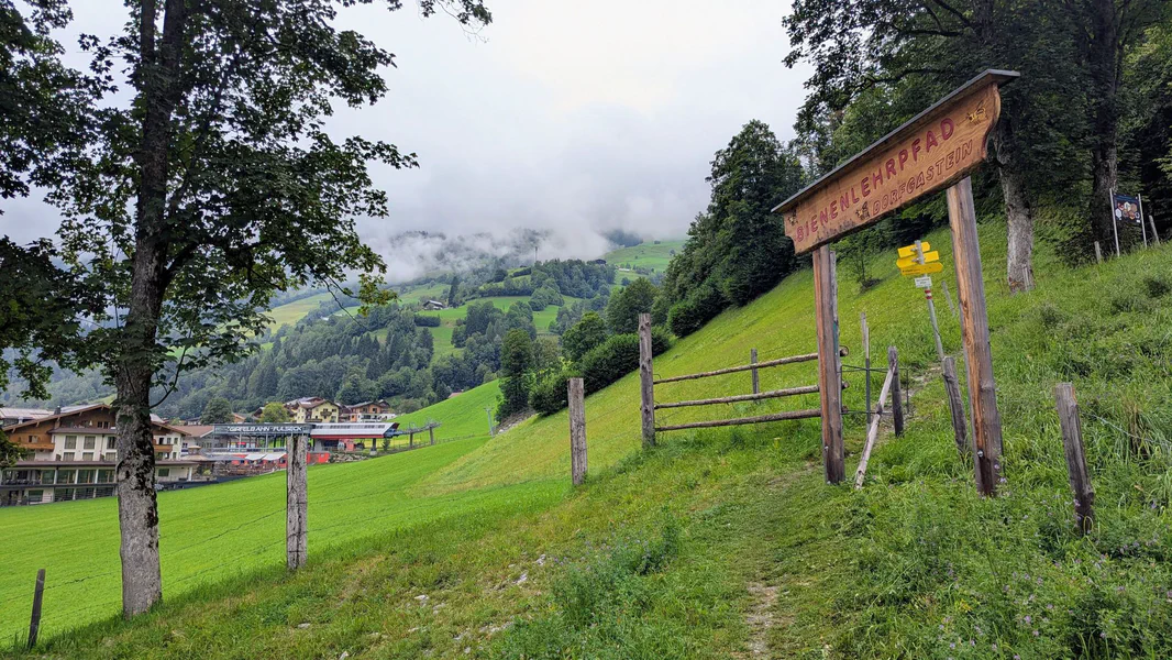 Dorfgastein Bee Trail — fotka 1