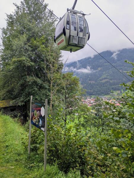 Dorfgastein Bee Trail