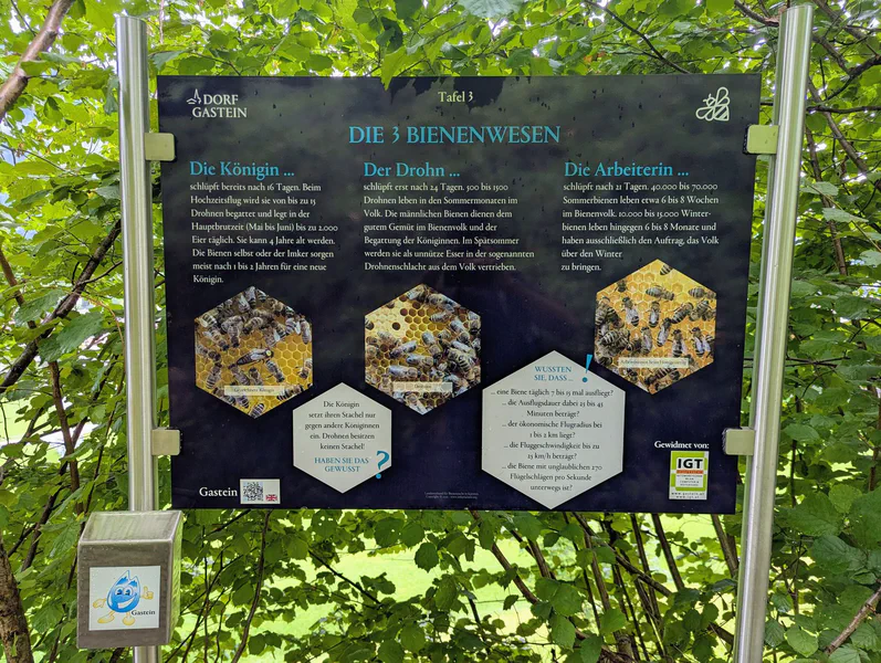 Dorfgastein Bee Trail — fotka 4