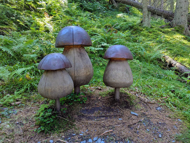 Dorfgastein Mushroom Trail — fotka 1