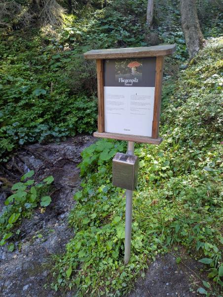 Dorfgastein Mushroom Trail