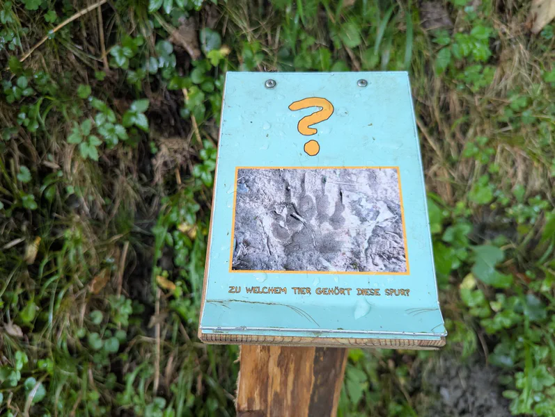 Dorfgastein Nature Experience Trail — fotka 3