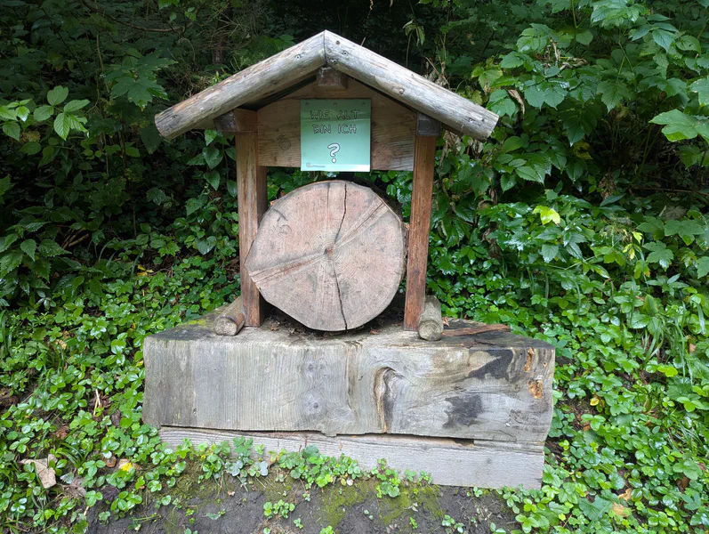 Dorfgastein Nature Experience Trail — fotka 6