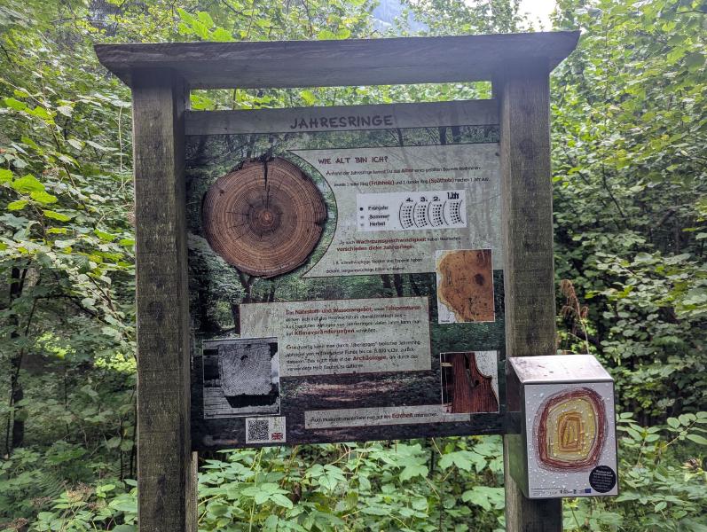 Dorfgastein Nature Experience Trail