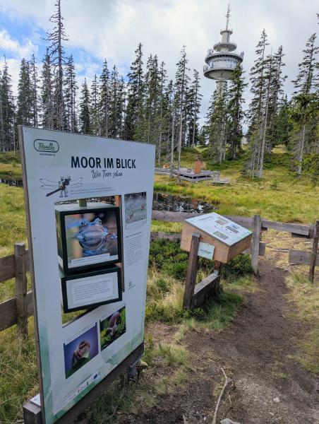 Filzmoos Moorpfad