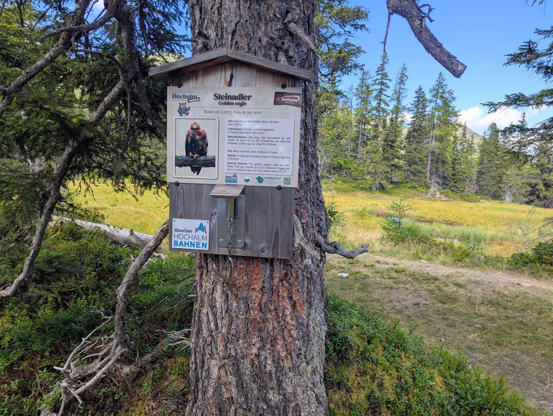 Rauris Tillys forest trail — fotka 1
