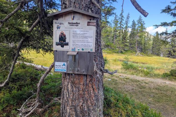 Rauris Tillys forest trail