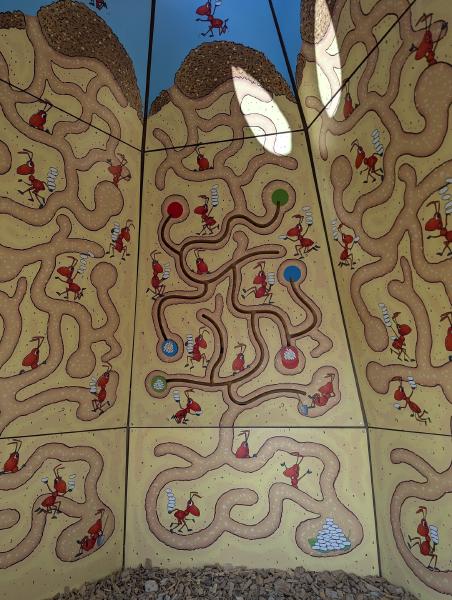 Zauchensee Meistercup der Alpentiere