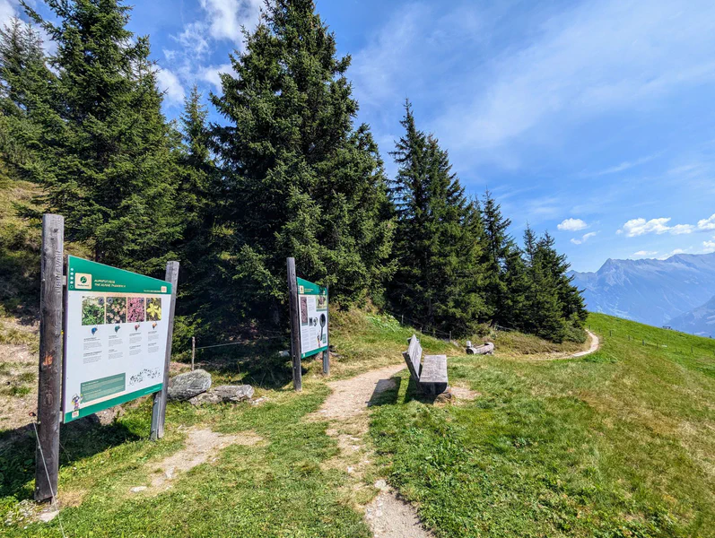 TuxWelten- NaturWelt — fotka 2