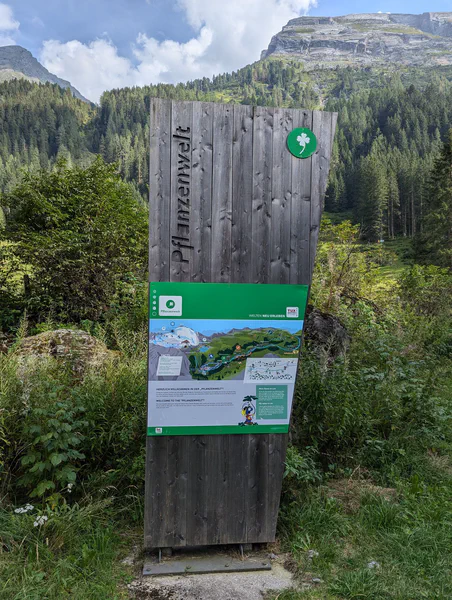 TuxWelten - Pflanzenwelt — fotka 4