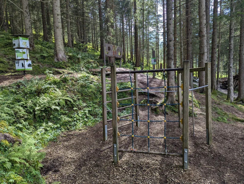 TuxWelten - Pflanzenwelt — fotka 5