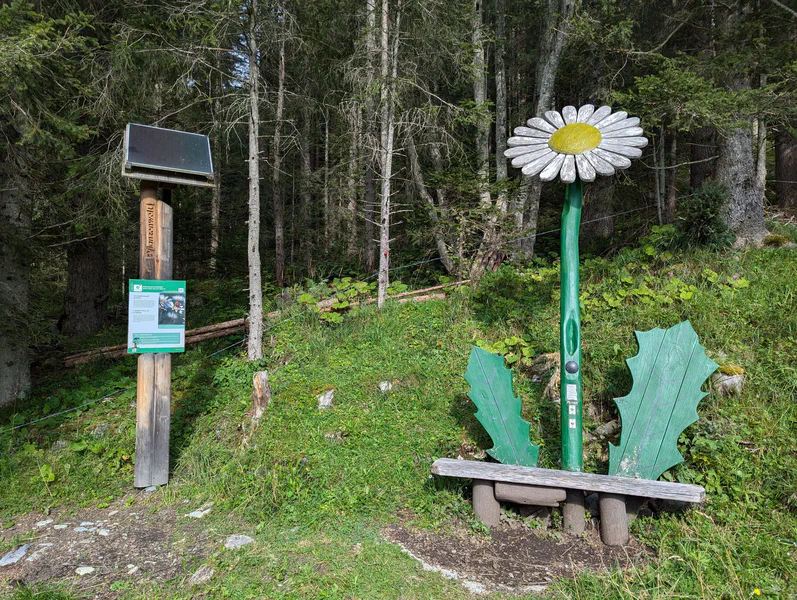 TuxWelten - Pflanzenwelt — fotka 6